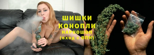 шишки Балабаново