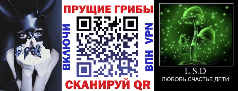 Купить где  Барнаул  Псилоцибиновые грибы прущие грибы 